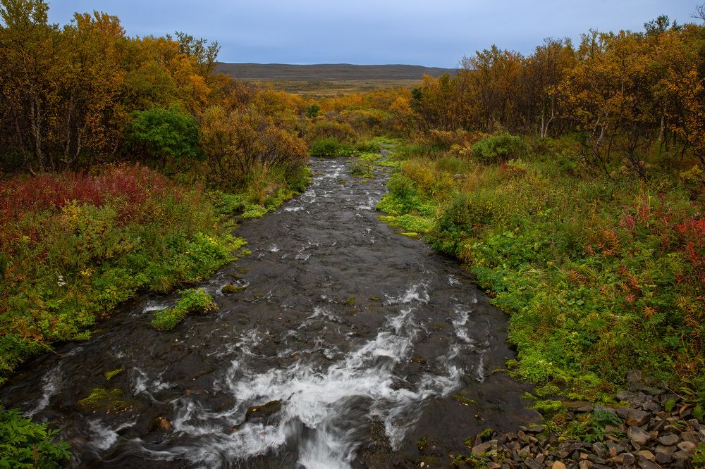 Photograph by Александр Ильин