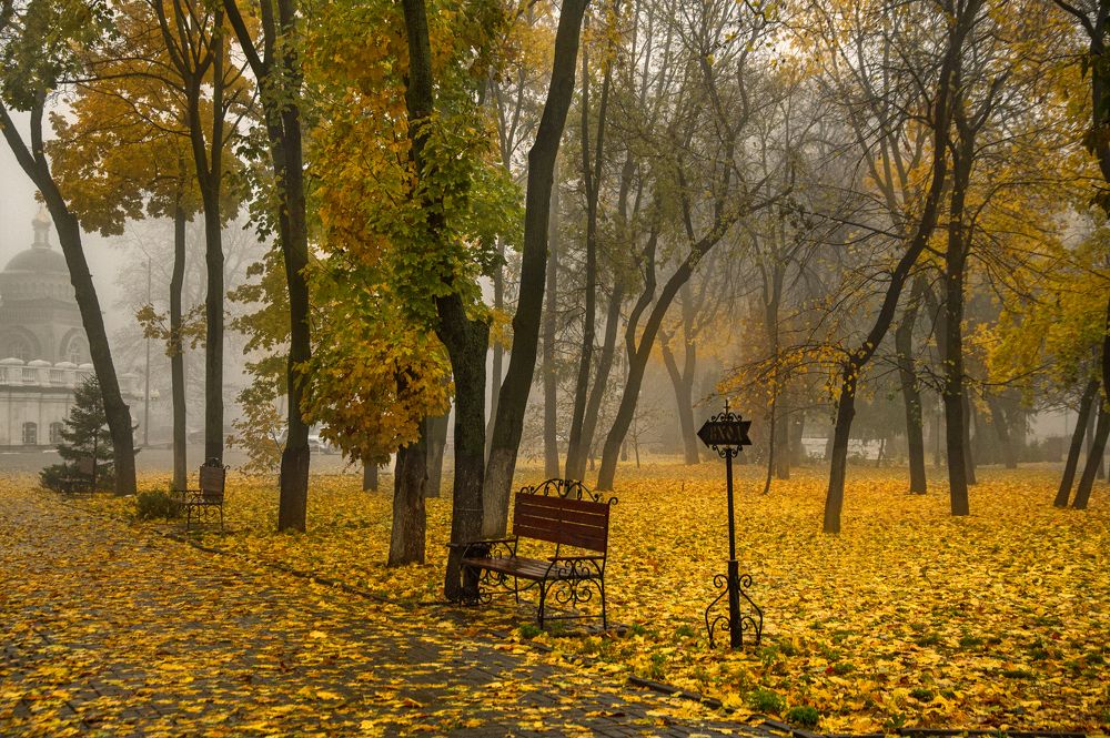 Photograph by Кирилл Аксенов