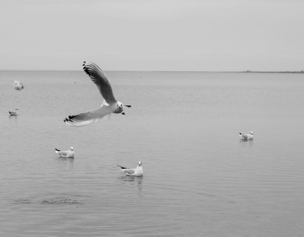 Photograph by Константин Бокарев