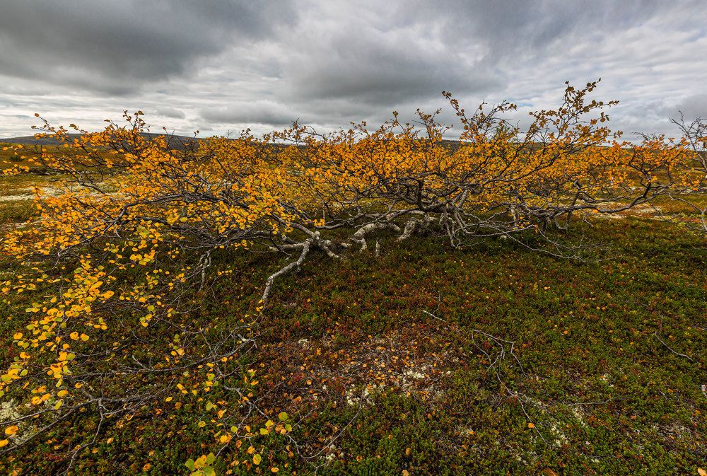 Photograph by Александр Ильин