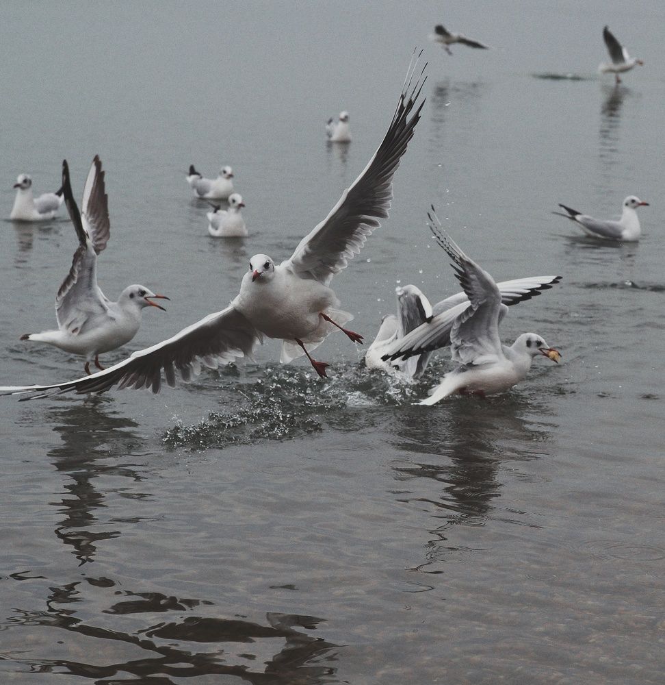 Photograph by Константин Бокарев