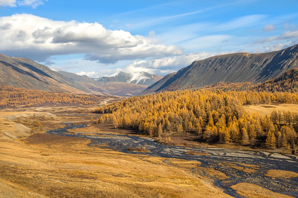 Photograph by Tatyana