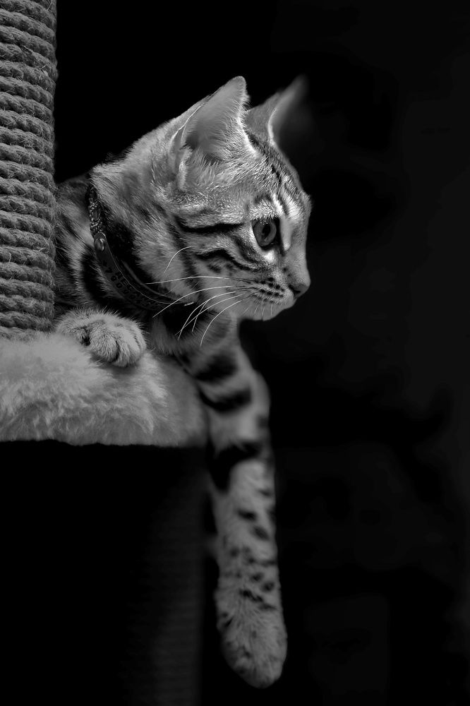 Photograph by Сергей Жиркевич