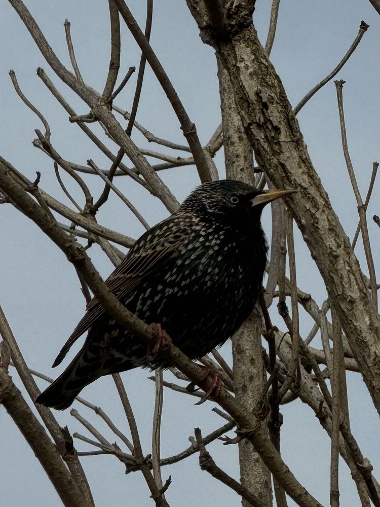 Photograph by Zhanna Kolesnikova