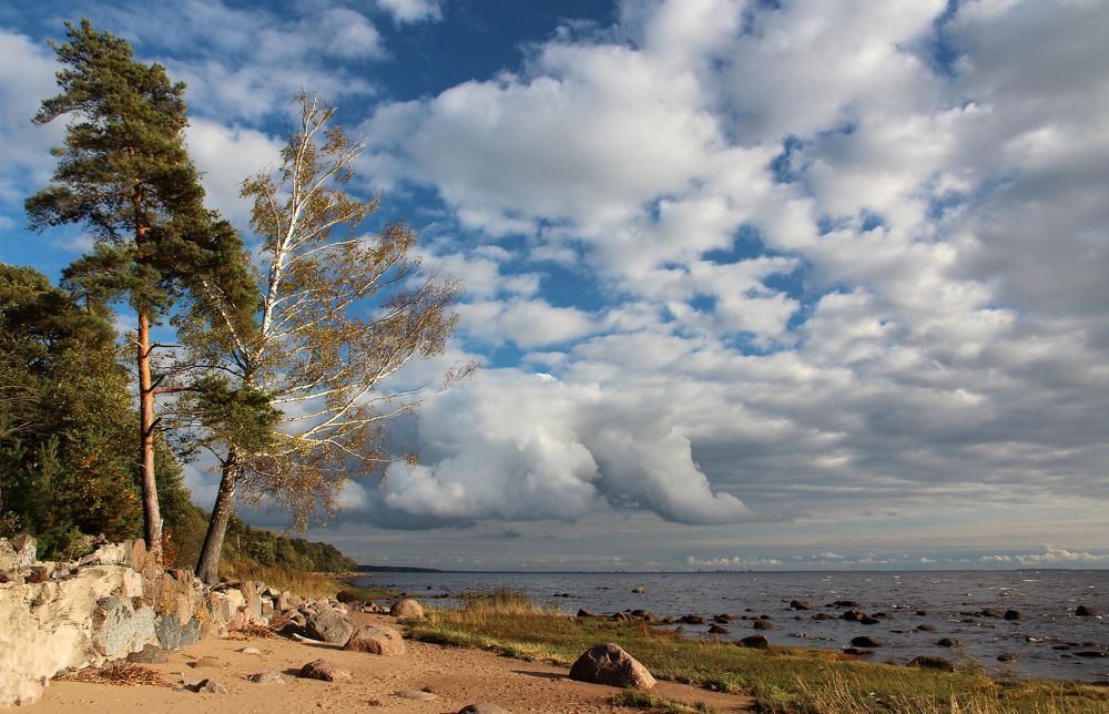 Финский залив. Октябрь