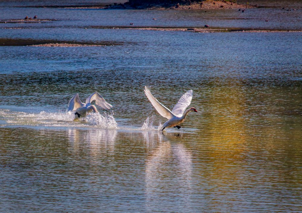 Photograph by Владимир Кваша