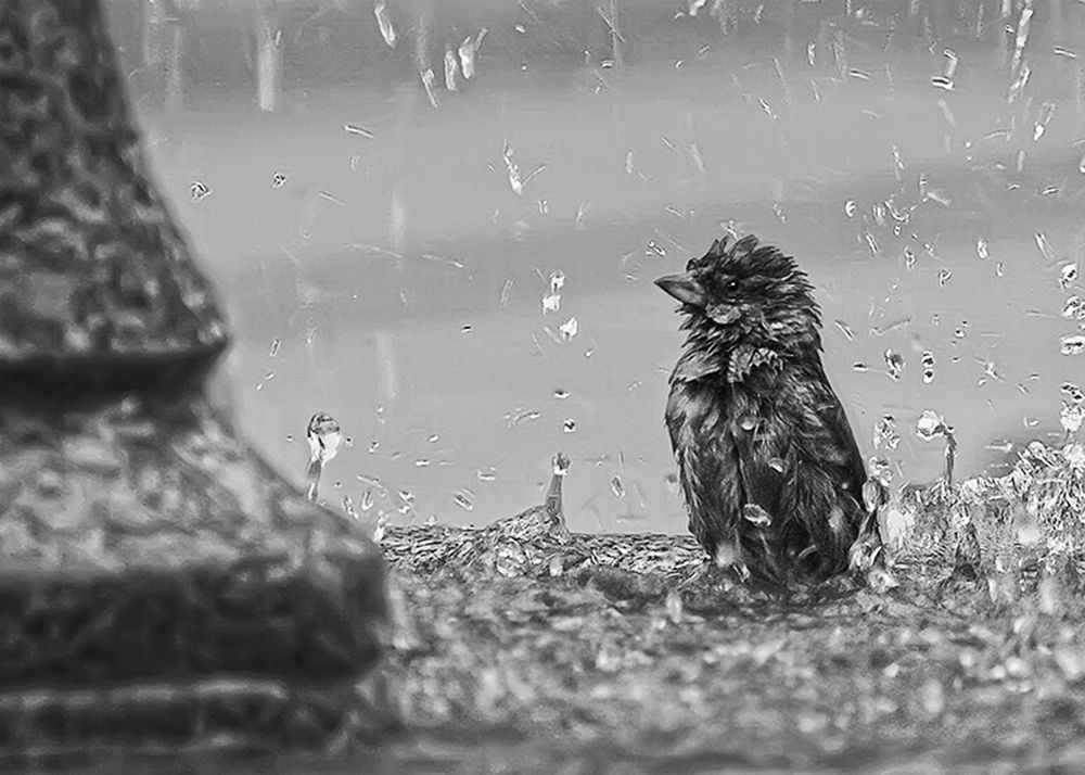 Опять полотенце забыл