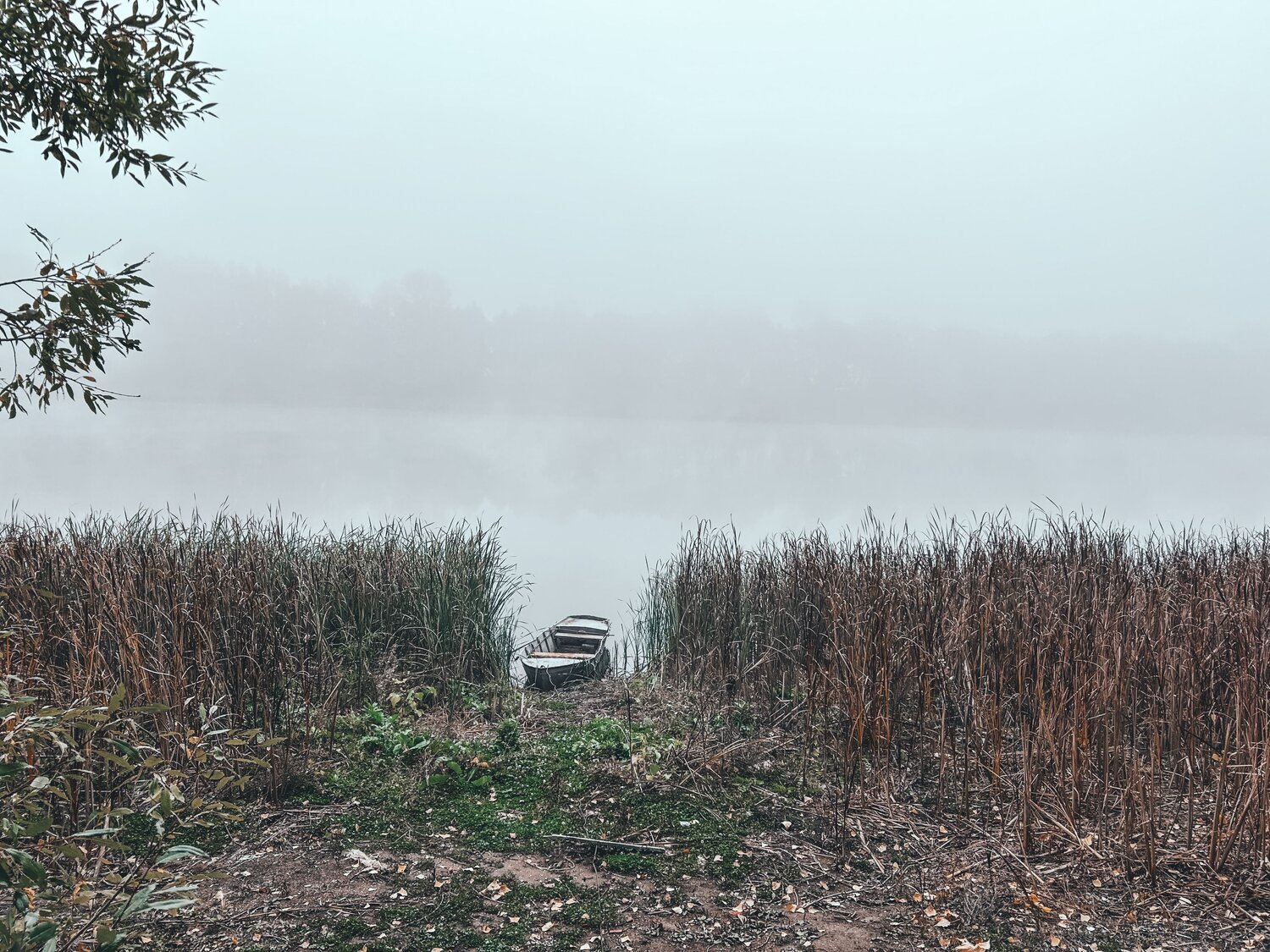 Photo #11150964