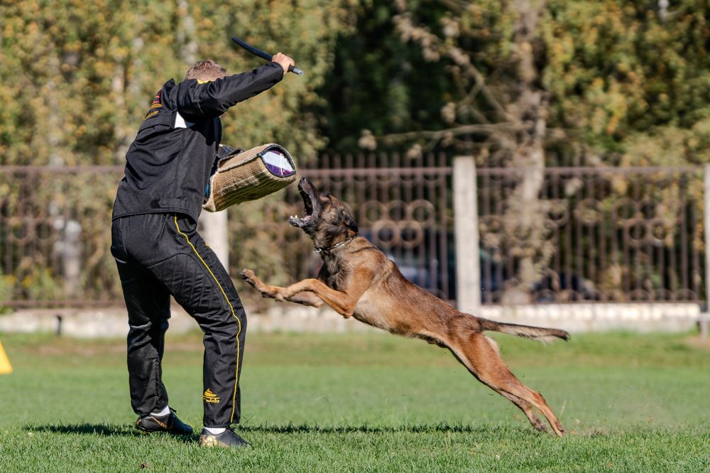 Photograph by Сергей Жиркевич