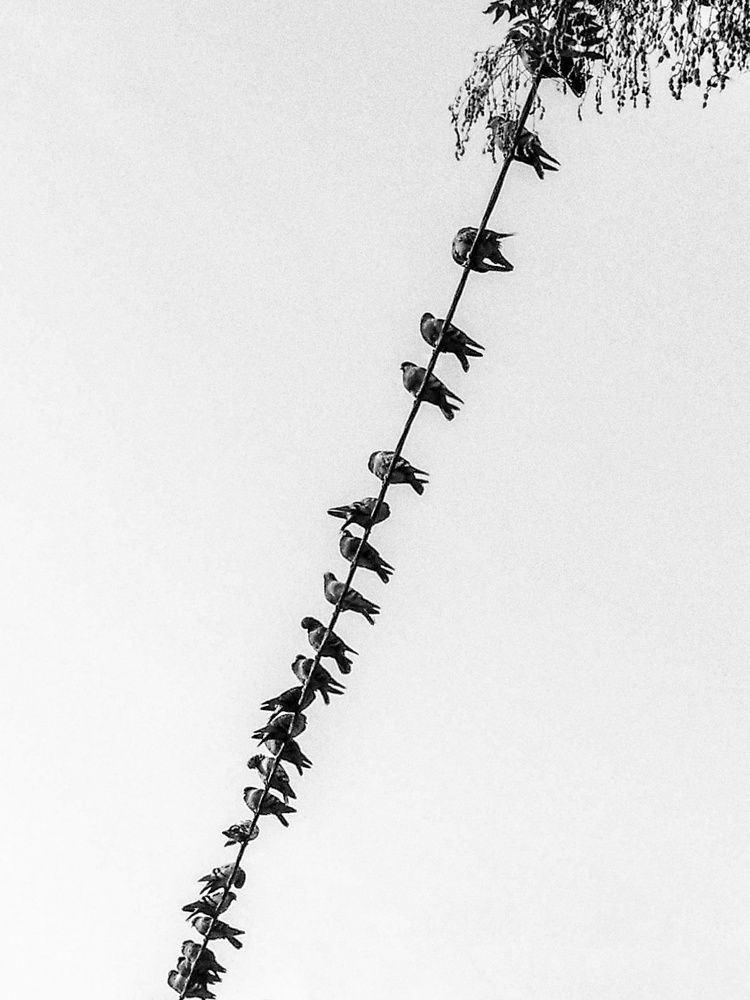 Photograph by Anastasiya Danilova