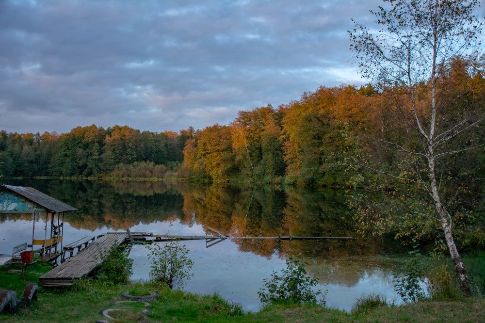 Фотография автора Елена Царёва