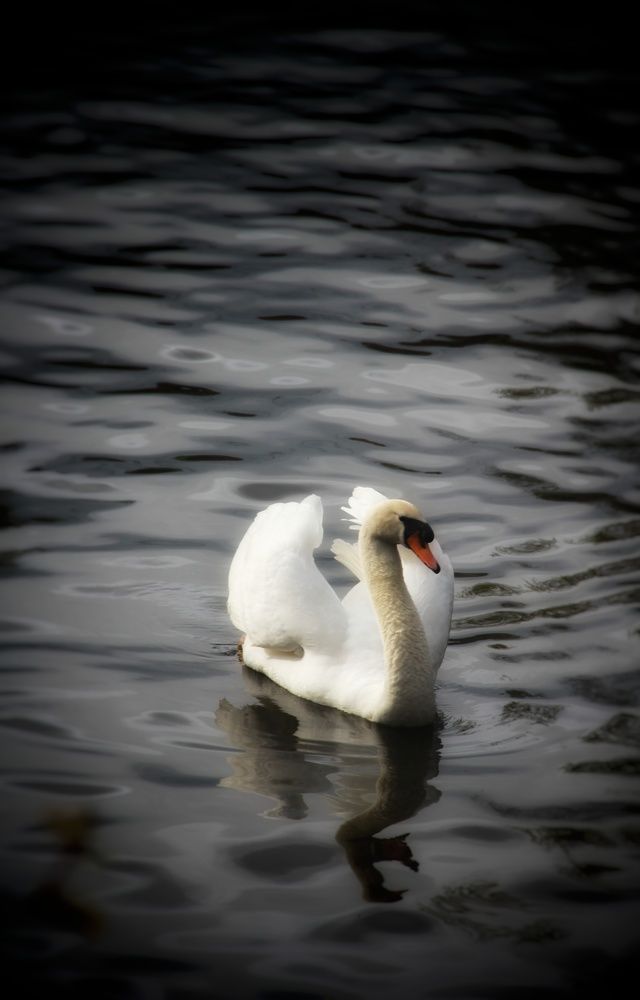 Photograph by Наталия Мельникова