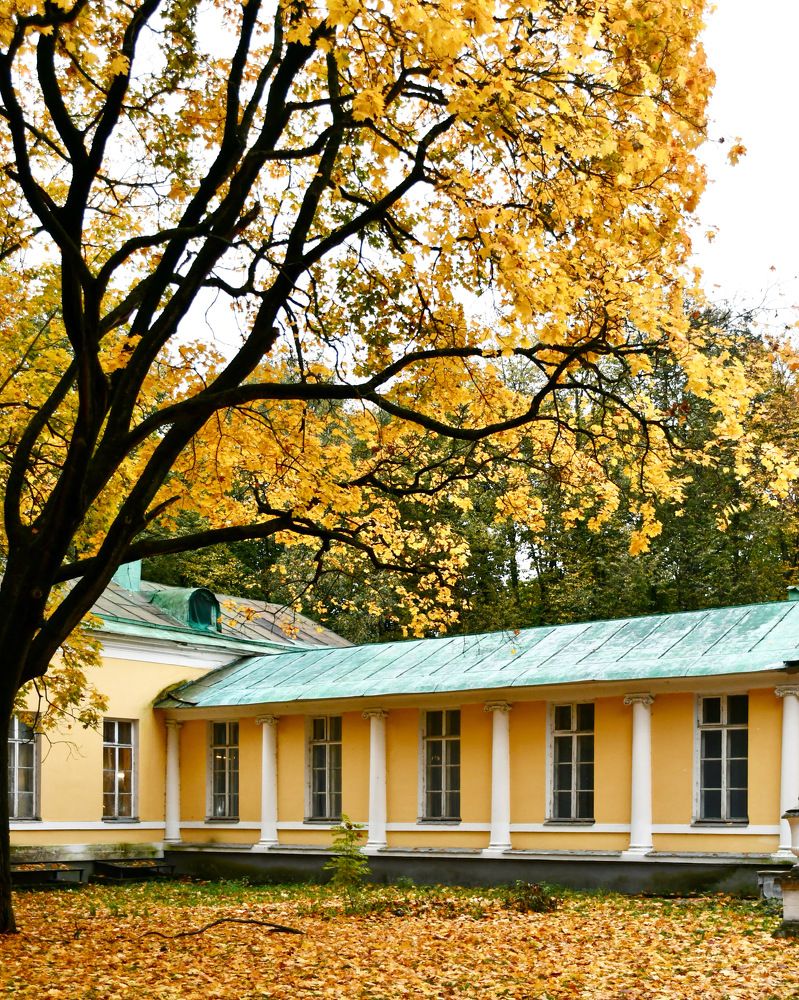 Photograph by Светлана Поляничева