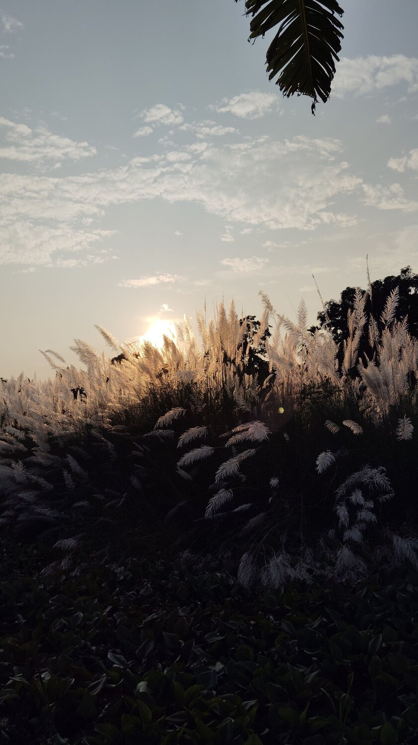 Photo #11151034