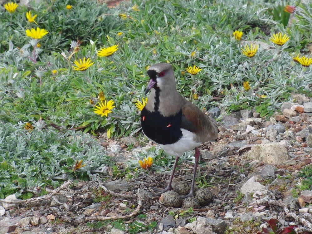 Photograph by Вадим Богатиков