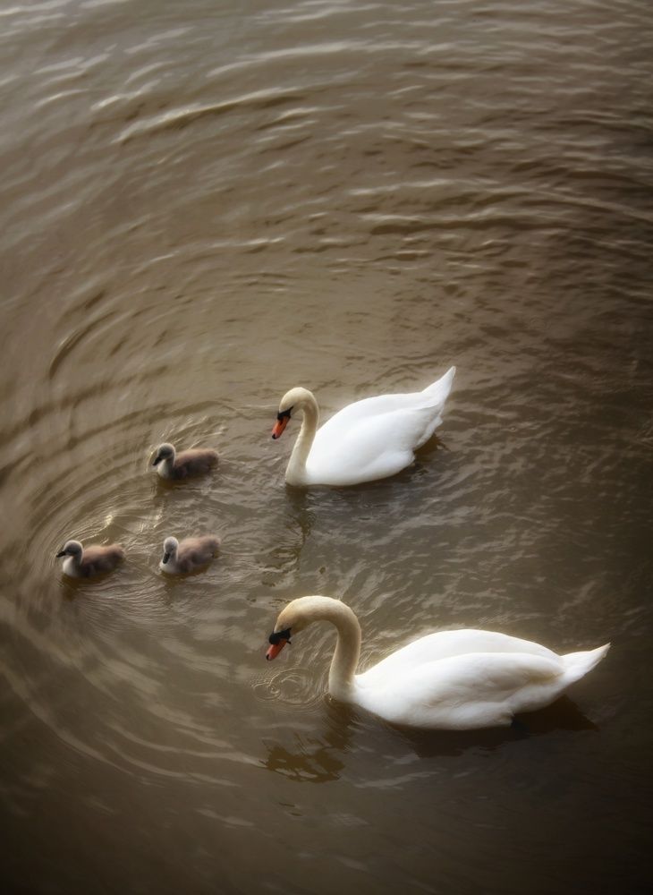 Photograph by Наталия Мельникова