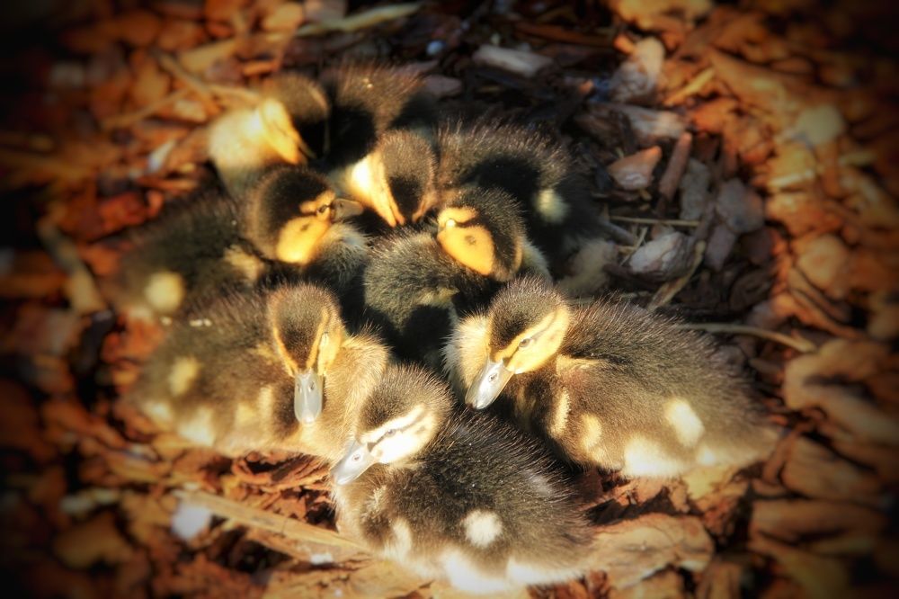 Photograph by Наталия Мельникова