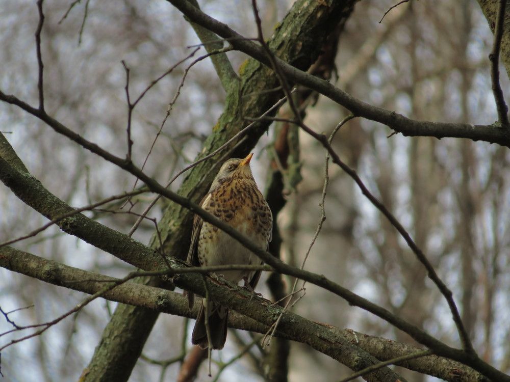 Photograph by Иван Скрипкин