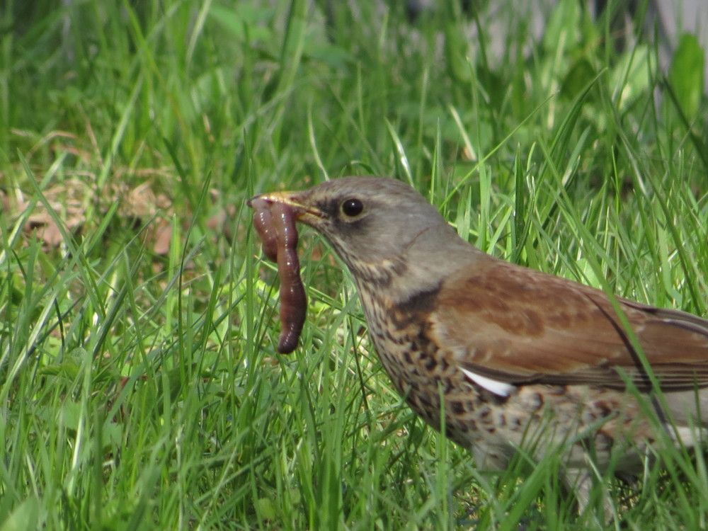 Photograph by Иван Скрипкин