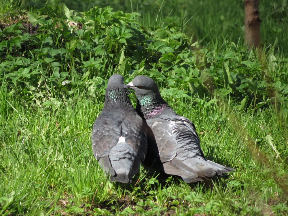 Photograph by Иван Скрипкин