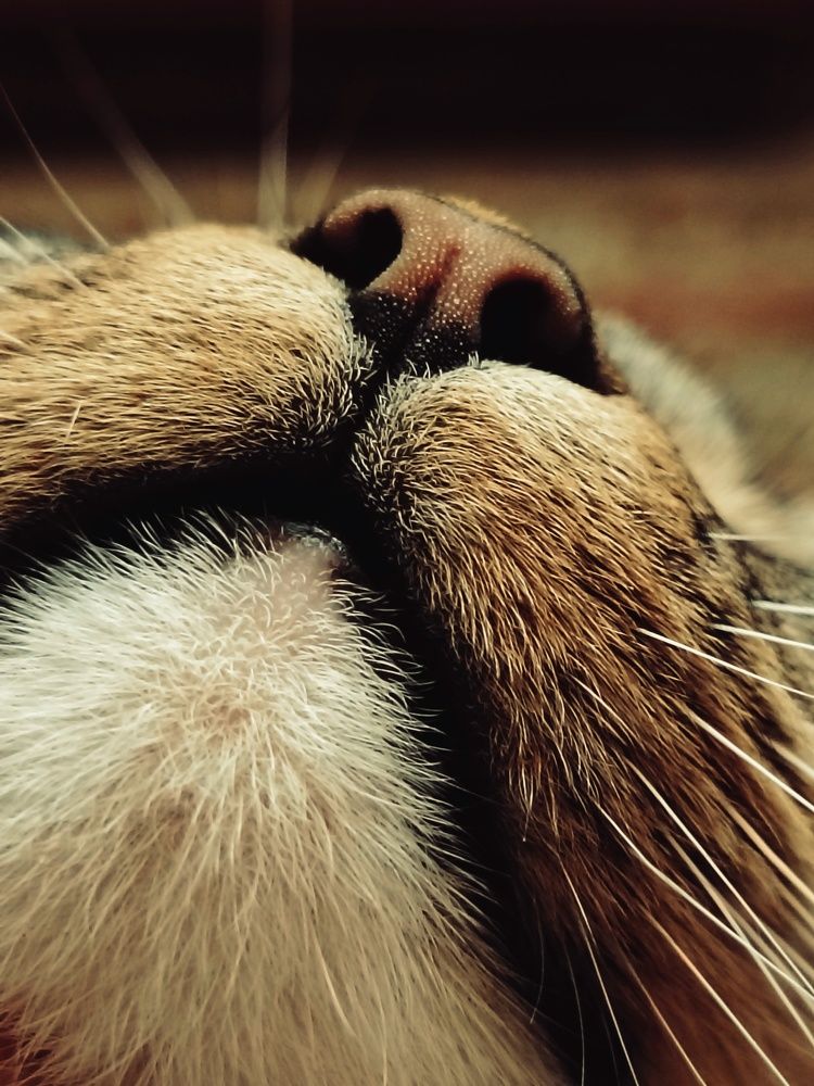 Photograph by Наталья Егорова