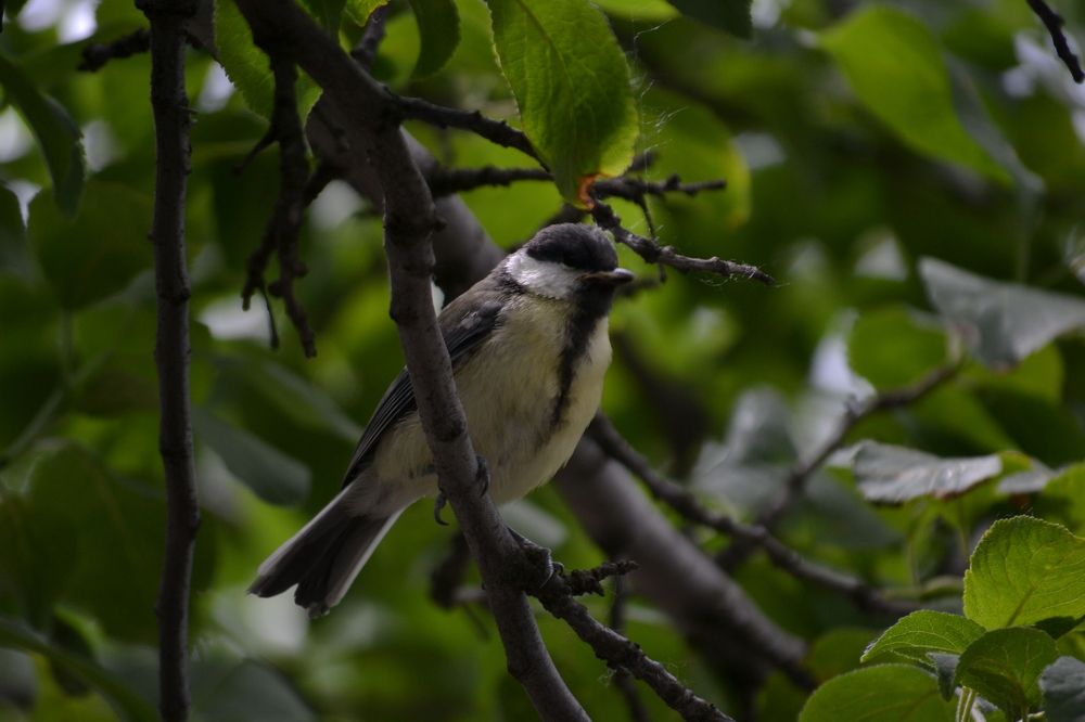 Фотография автора Ольга Юдина