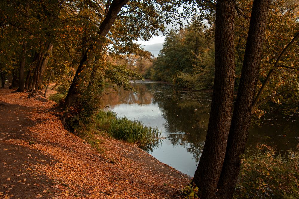 Photograph by Анна Татаренко