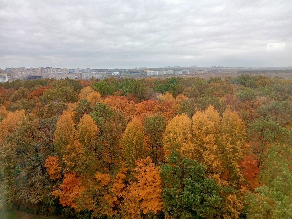 Photograph by Ольга Сергеева