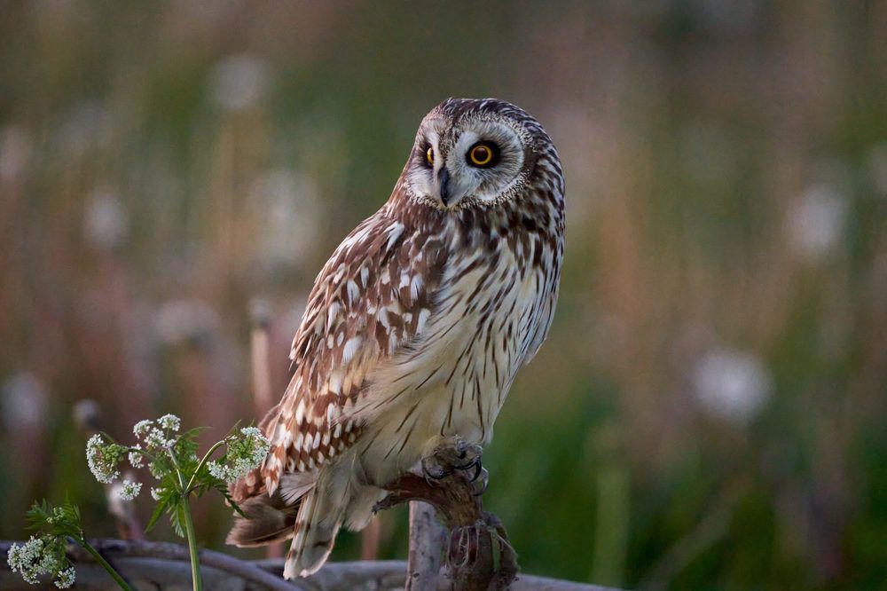 Photograph by Victor Krachkovsky