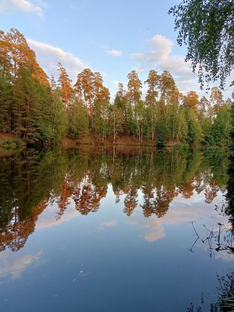 Photograph by Ольга Сергеева