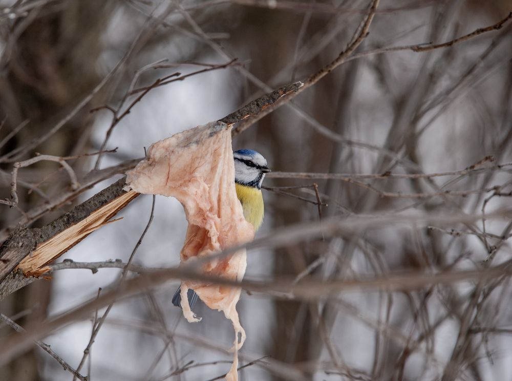 Photograph by  Дмитрий Михайлович