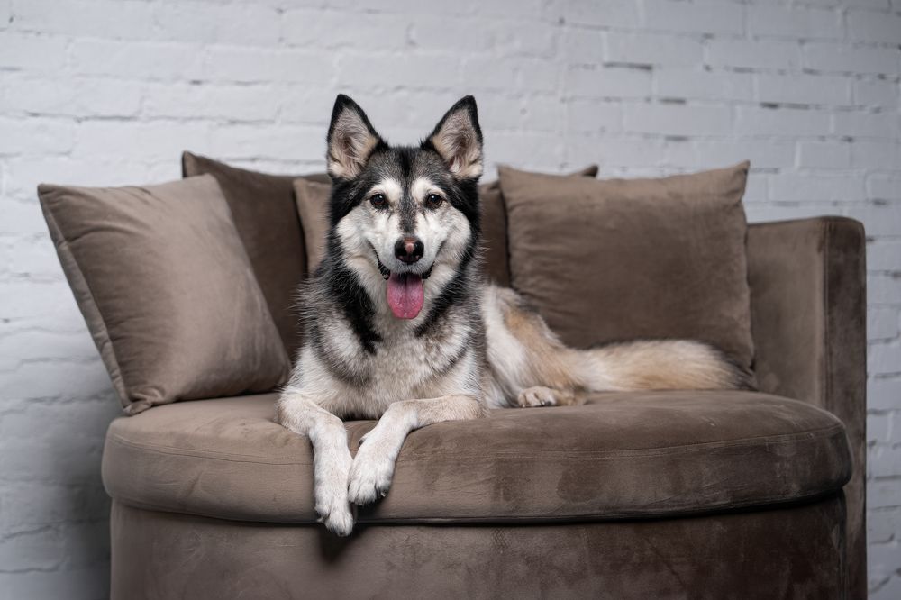 Фотография автора Krisztián Csalami