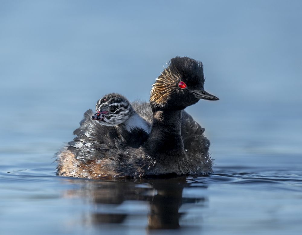 Photograph by Ricardo Núñez Montero