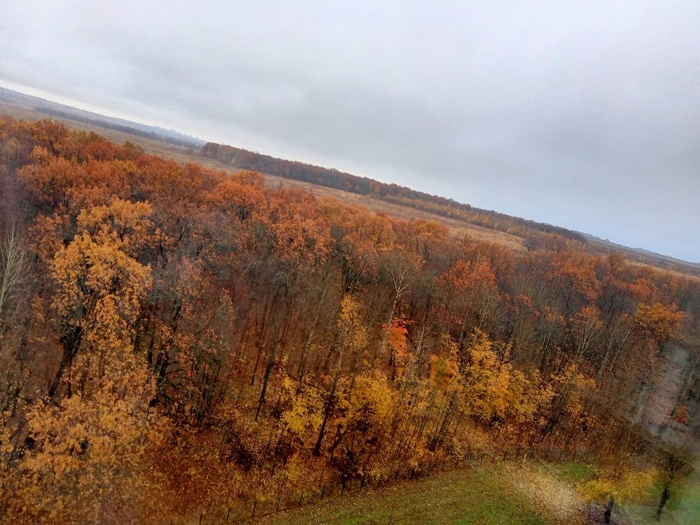 Photograph by Ольга Сергеева