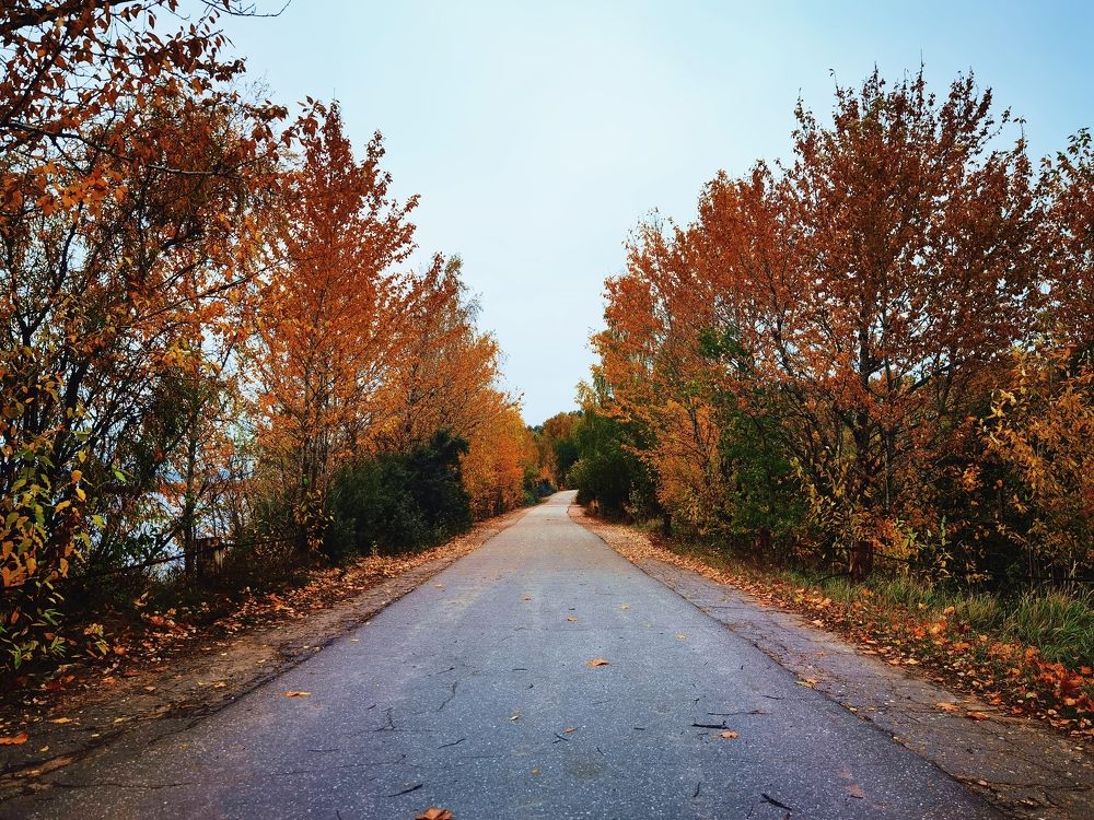 Photograph by Серафима Силина