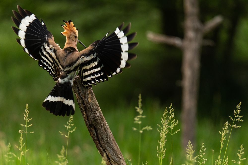 Photograph by Ramzan Davletmirzaev