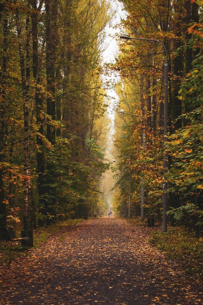 Photograph by Гусева Марина