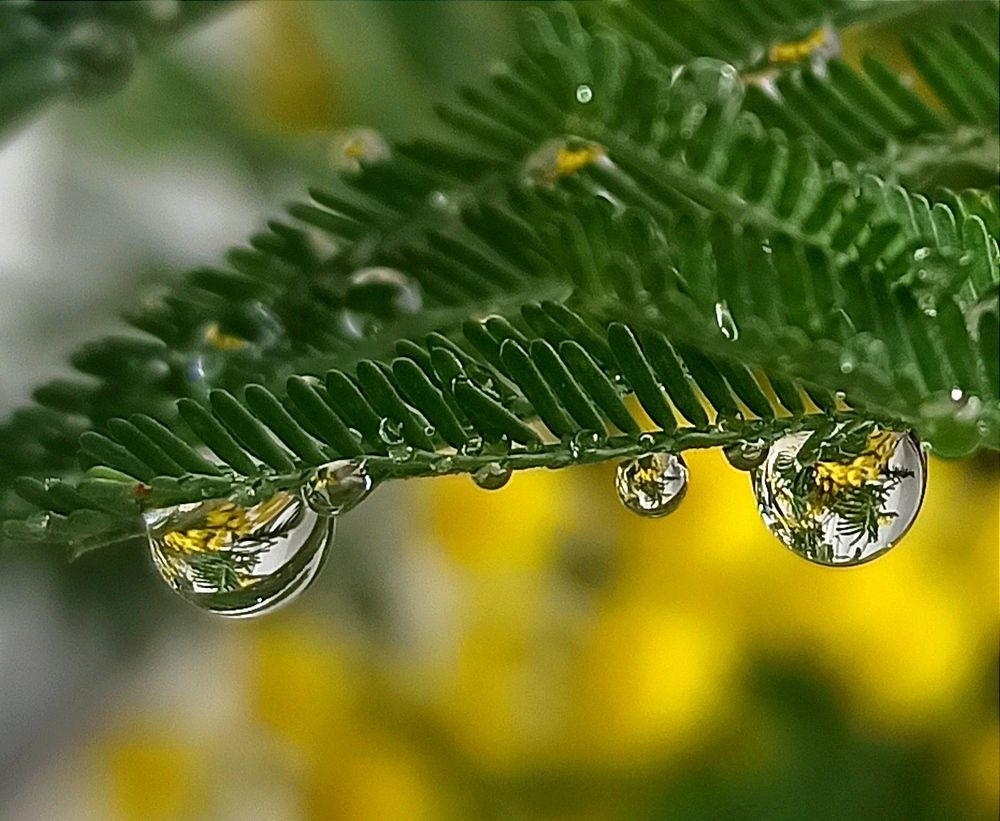 Photograph by Ольга Тихонова