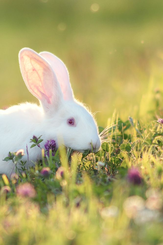 Photograph by Инга Добрынина