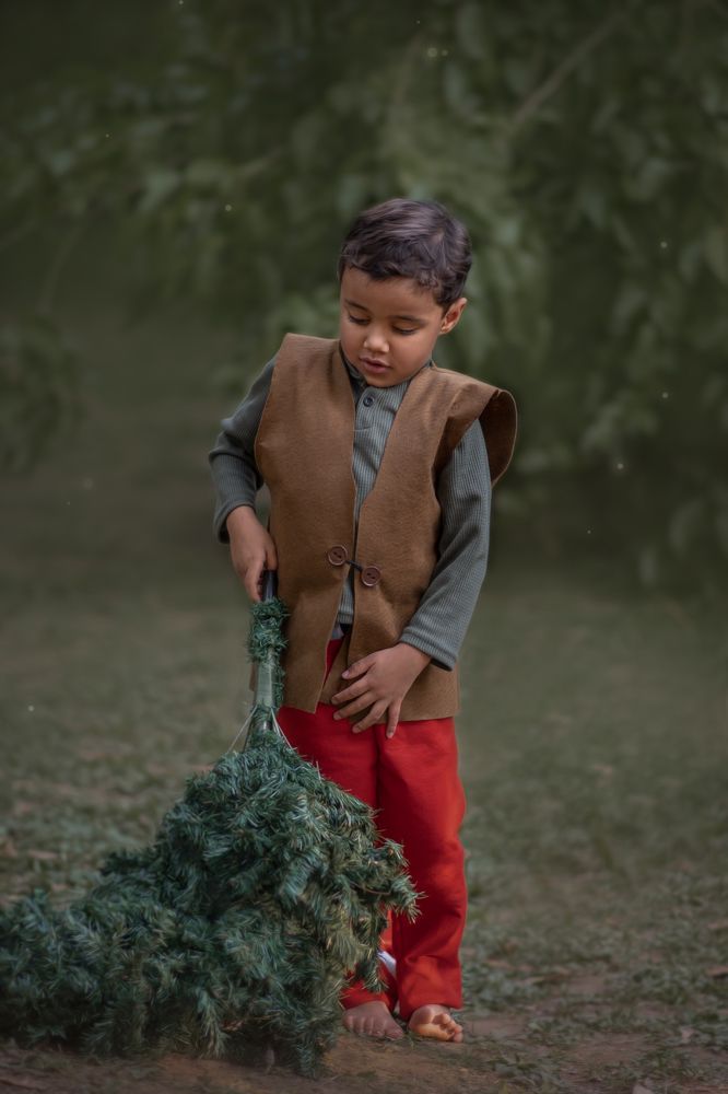 Christmas enchanted elf