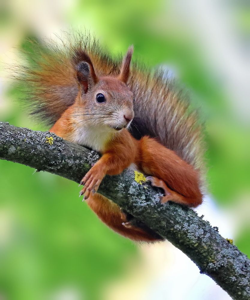 Photograph by Игорь Чеботарёв