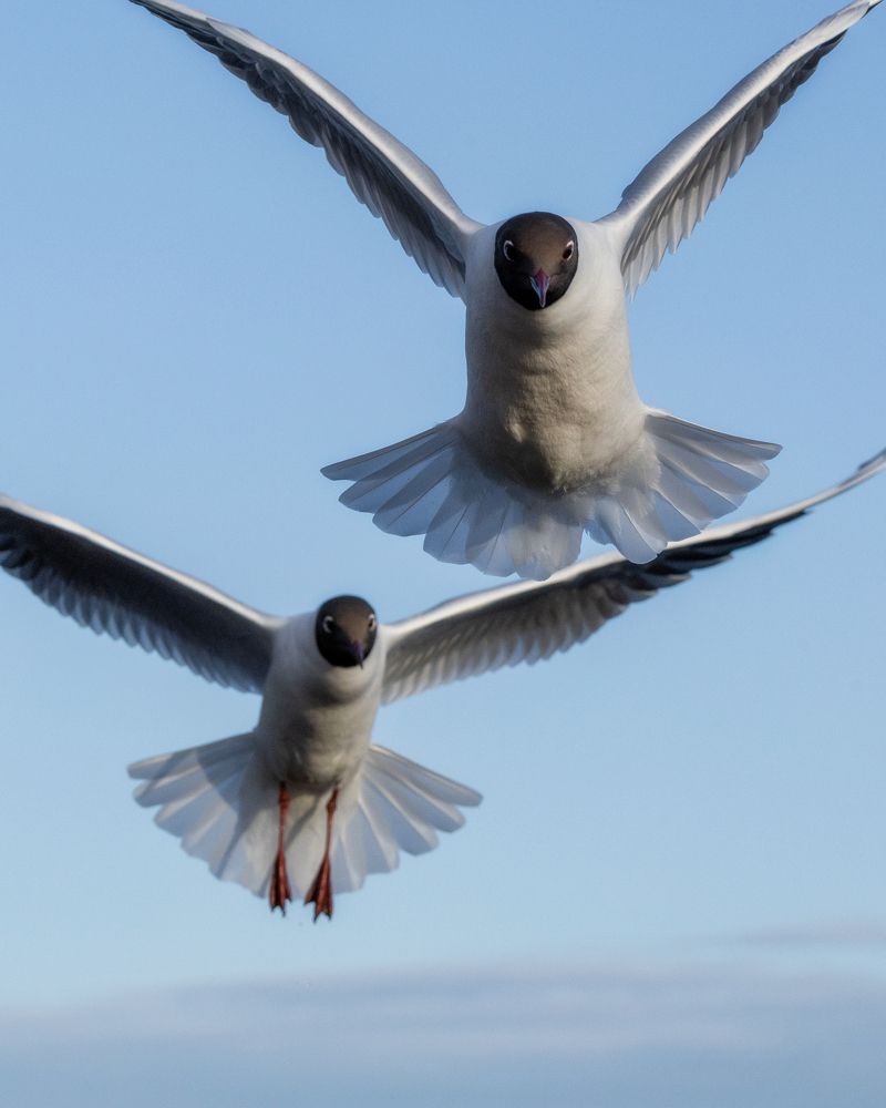 Photograph by Anton Gavrilov