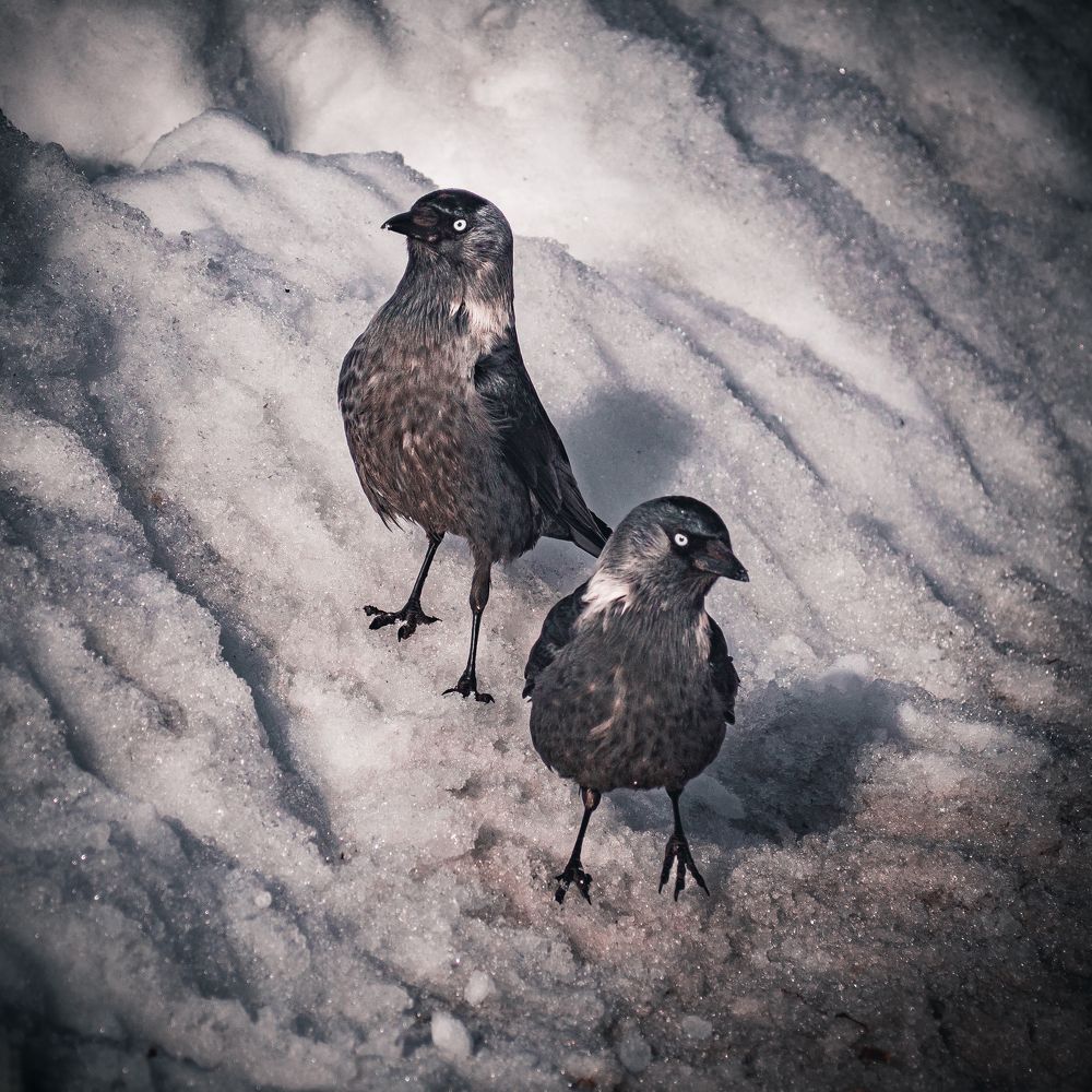 Photograph by Александр Данилов