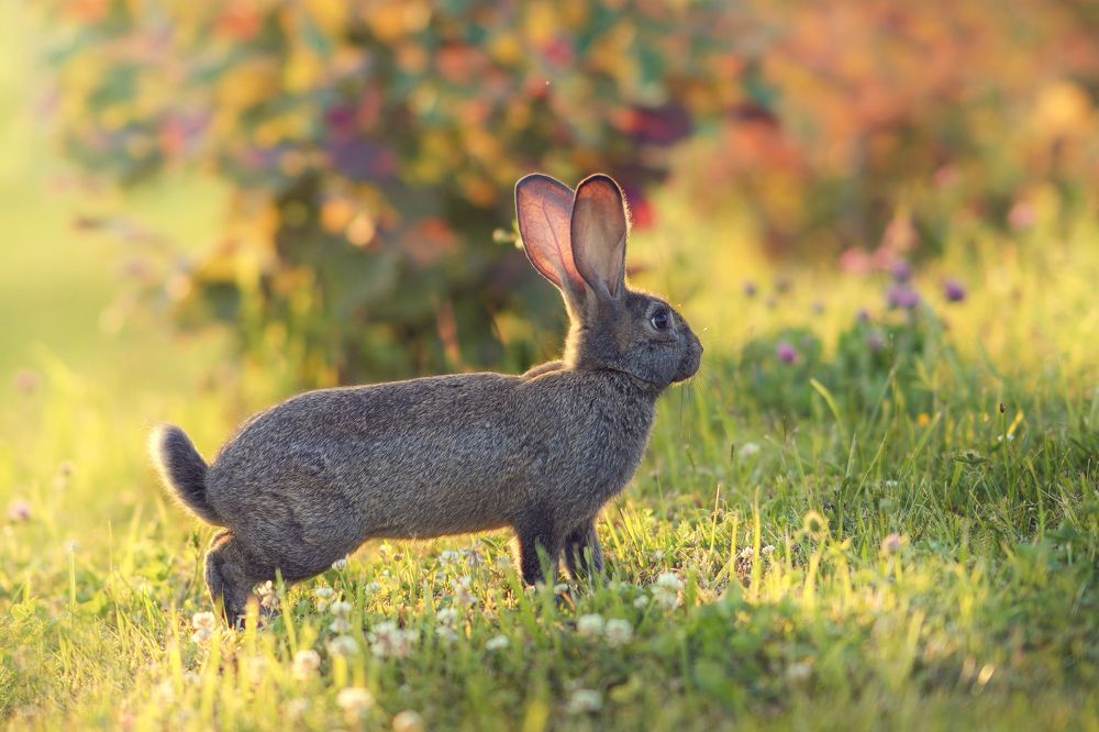 Photograph by Инга Добрынина