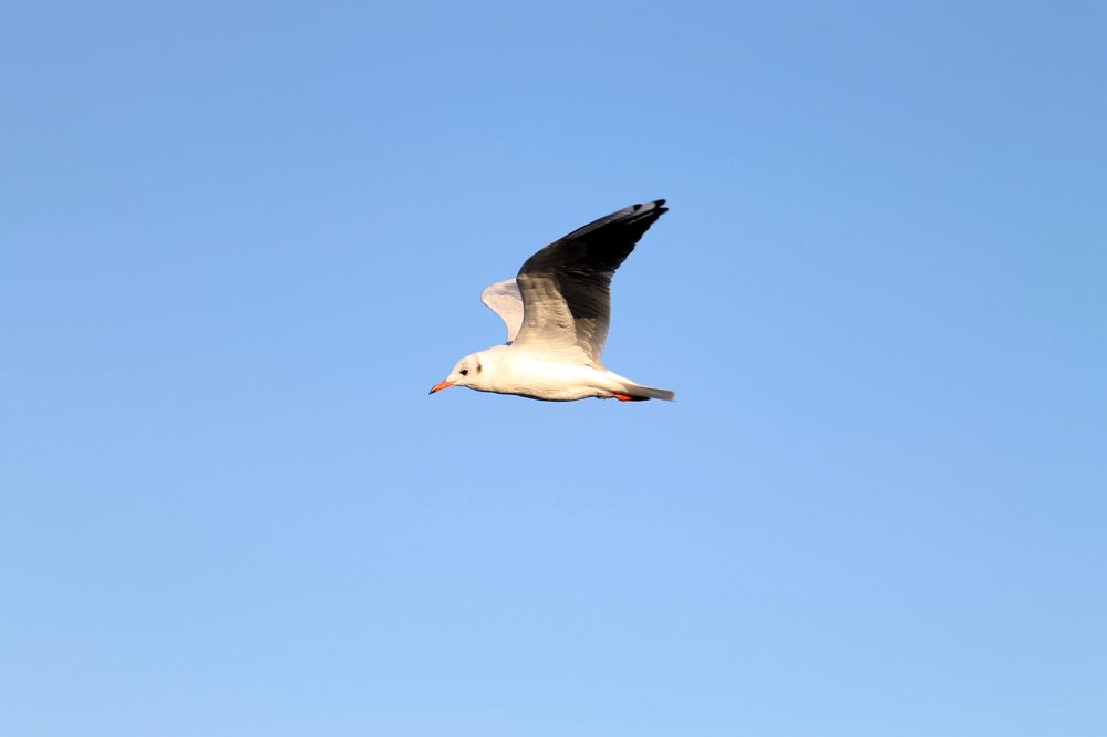 Photograph by София Лаврентьева