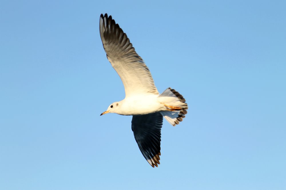 Photograph by София Лаврентьева