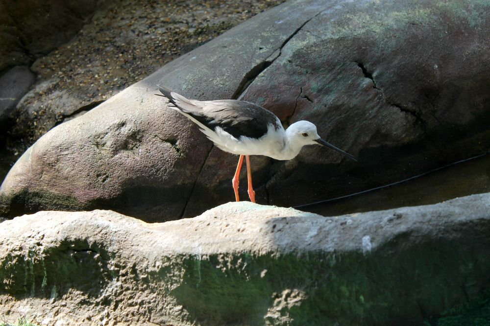 Photograph by София Лаврентьева