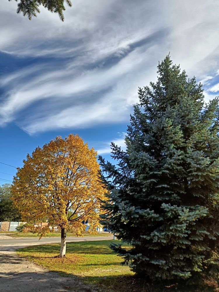 Photograph by Карина Слабкая