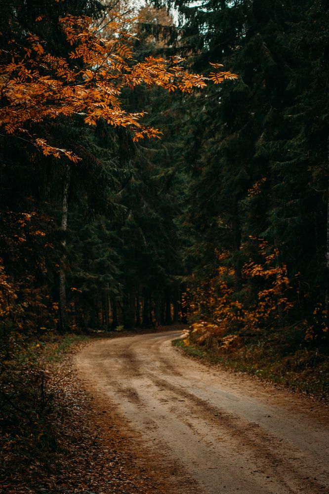 Photograph by Юлия Фомина