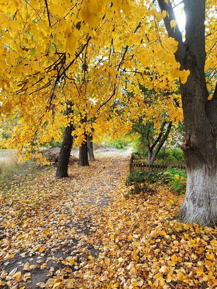 Photograph by Карина Слабкая